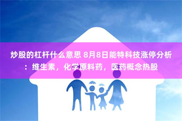 炒股的杠杆什么意思 8月8日能特科技涨停分析：维生素，化学原料药，医药概念热股