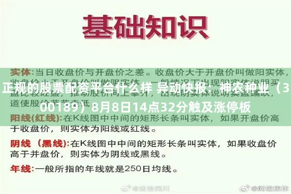 正规的股票配资平台什么样 异动快报：神农种业（300189）8月8日14点32分触及涨停板