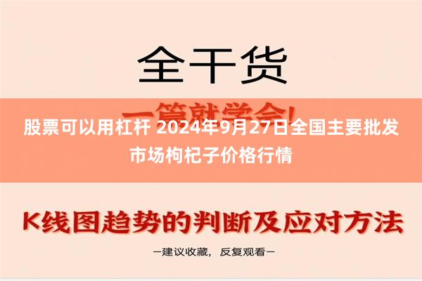 股票可以用杠杆 2024年9月27日全国主要批发市场枸杞子价格行情