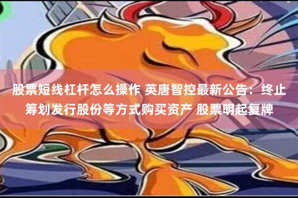 股票短线杠杆怎么操作 英唐智控最新公告：终止筹划发行股份等方式购买资产 股票明起复牌