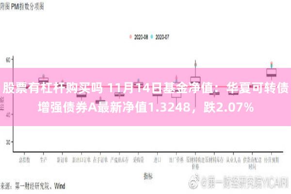 股票有杠杆购买吗 11月14日基金净值：华夏可转债增强债券A最新净值1.3248，跌2.07%