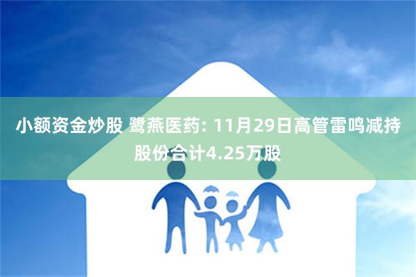 小额资金炒股 鹭燕医药: 11月29日高管雷鸣减持股份合计4.25万股