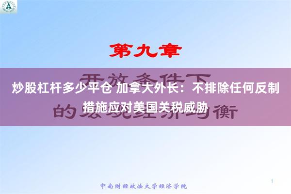 炒股杠杆多少平仓 加拿大外长：不排除任何反制措施应对美国关税威胁