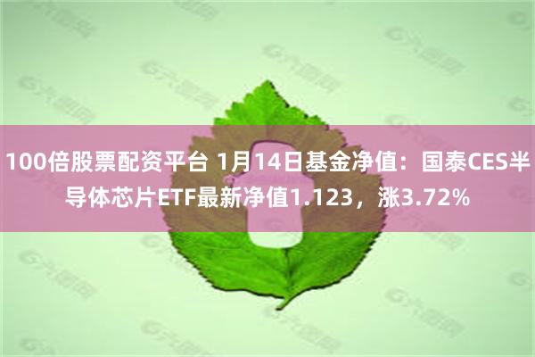 100倍股票配资平台 1月14日基金净值：国泰CES半导体芯片ETF最新净值1.123，涨3.72%